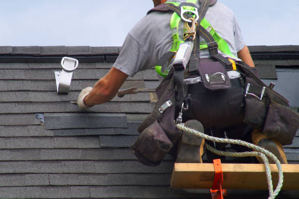 Best Sealant for Roof  in Cass City, MI
