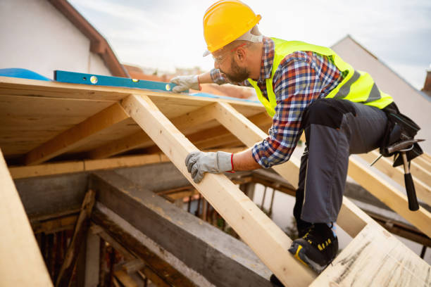 Best Residential Roofing Contractor  in Cass City, MI