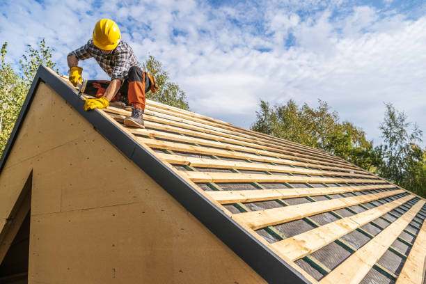Best Flat Roof Repair Services  in Cass City, MI