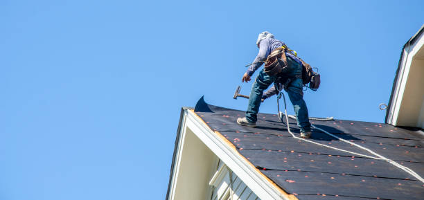 Best Roof Gutter Cleaning  in Cass City, MI